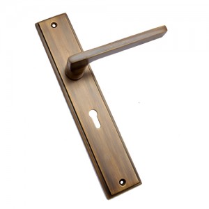 "Shalman" Brass Door Handle with Plate